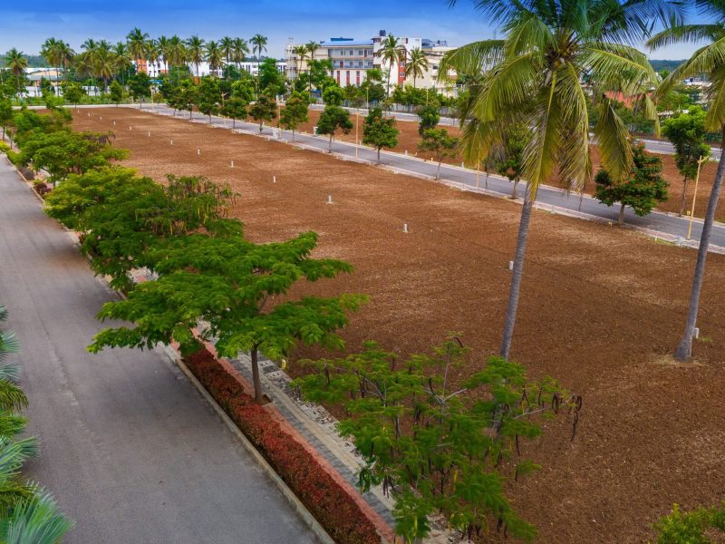 DJI_20241114112628_0040_D